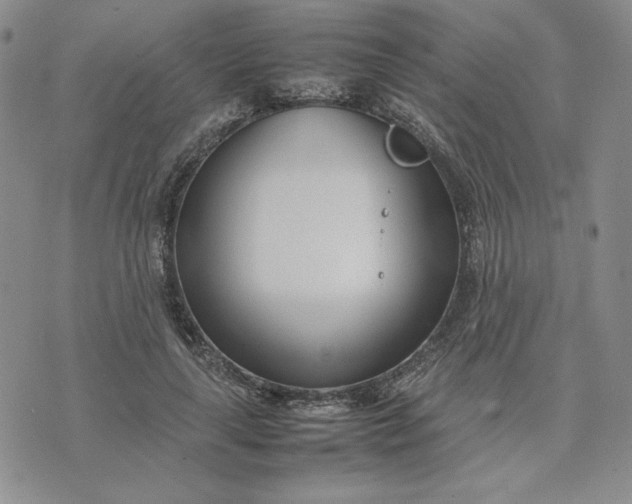 X0000075360643200609251103