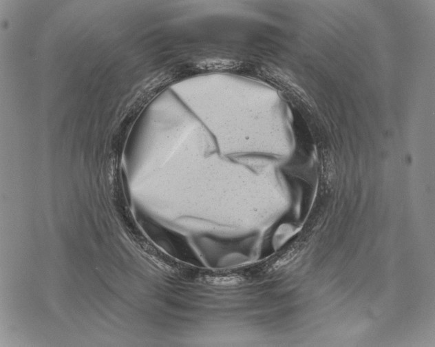 X0000075360645200609251103