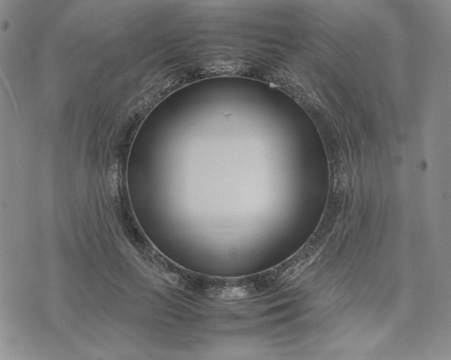 X0000075360647200609251103