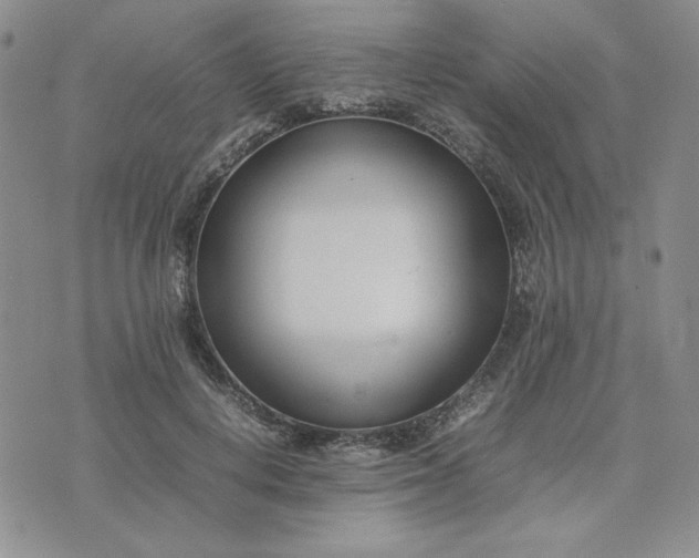 X0000075360648200609251103