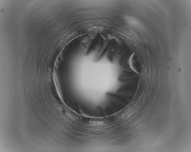 X0000075360649200609251103