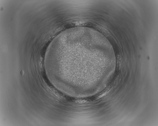 X0000075360650200609251103