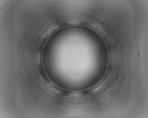 X0000075360652200609251103