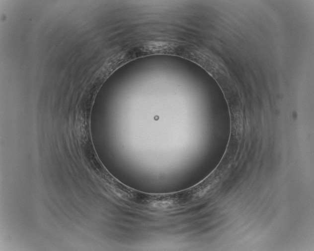 X0000075360653200609251103