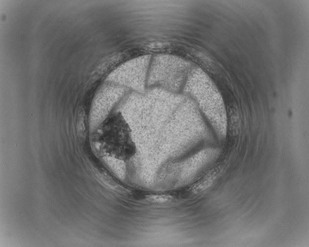 X0000075360654200609251103