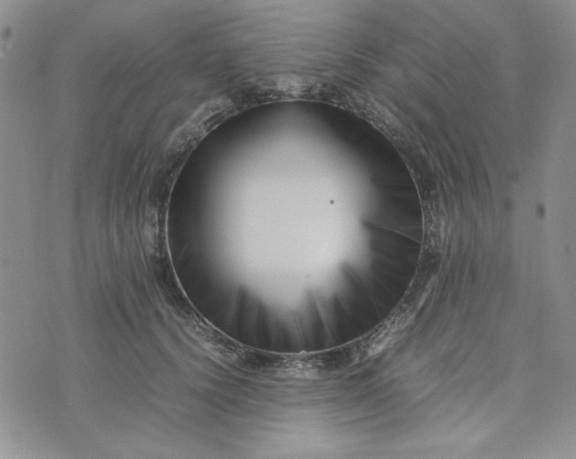 X0000075360656200609251103