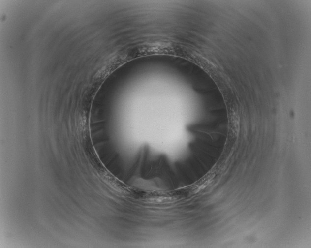 X0000075360657200609251103