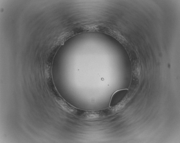 X0000075360658200609251103