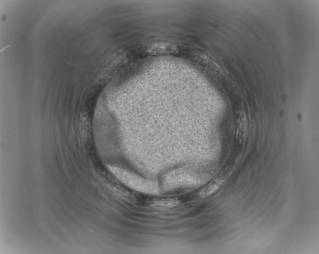 X0000075360659200609251103