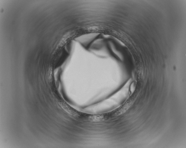 X0000075360660200609251103