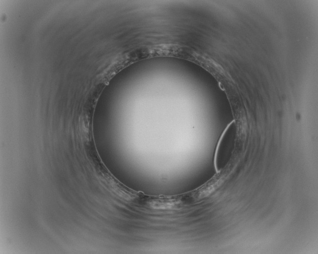 X0000075360661200609251103