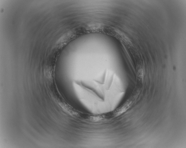 X0000075360662200609251103