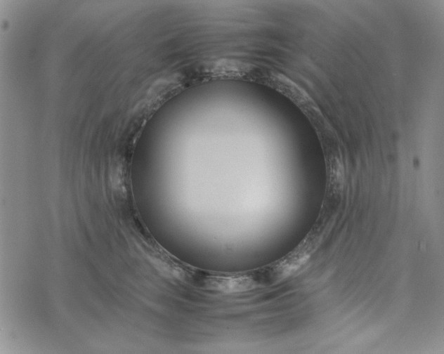 X0000075360663200609251103