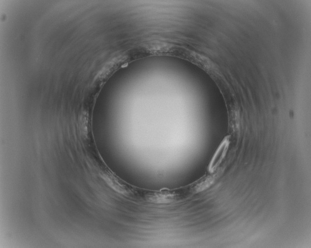 X0000075360664200609251103