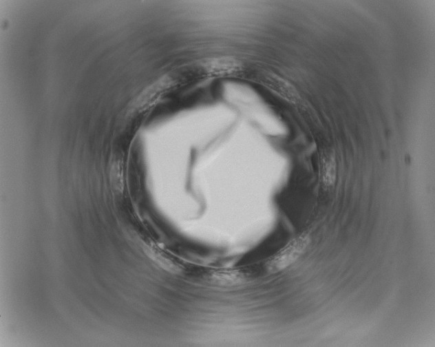 X0000075360666200609251103