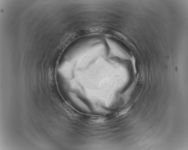 X0000075360667200609251103