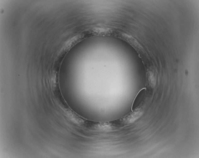 X0000075360668200609251103