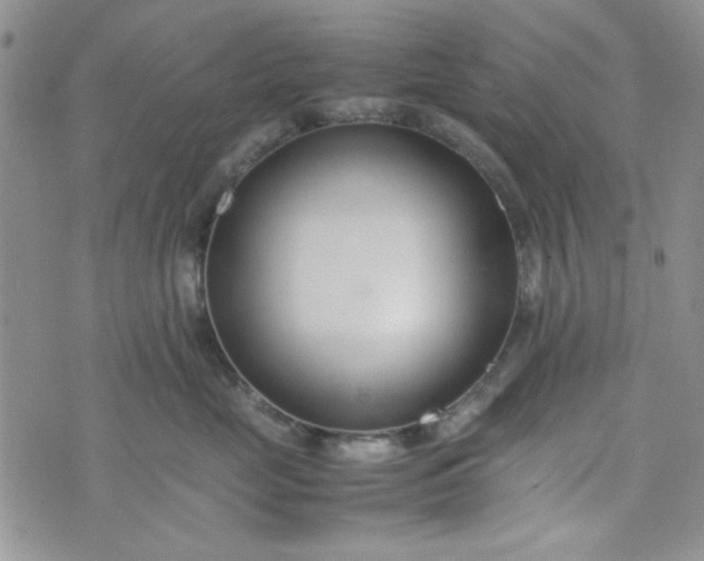 X0000075360669200609251103