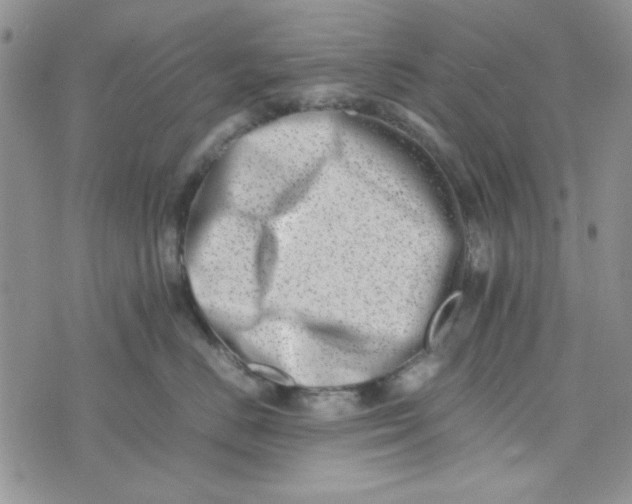 X0000075360670200609251103