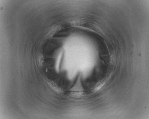 X0000075360671200609251103