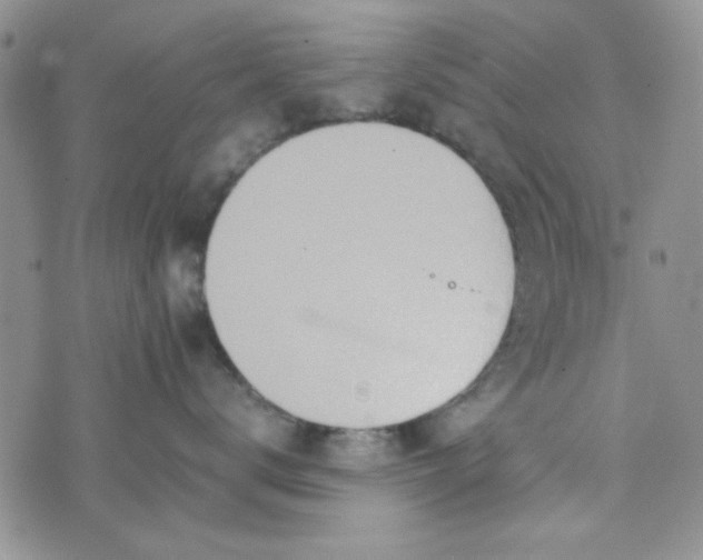 X0000075360672200609251103