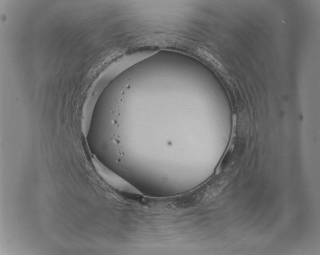 X0000075360673200609251102