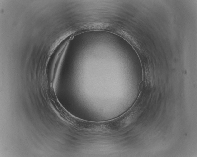 X0000075360674200609251102