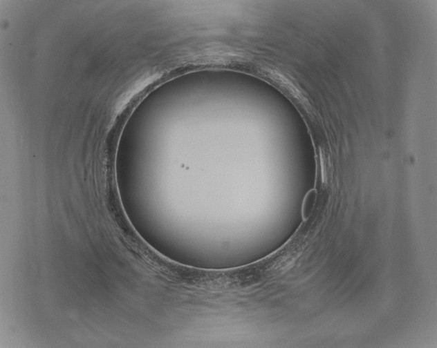 X0000075360675200609251102