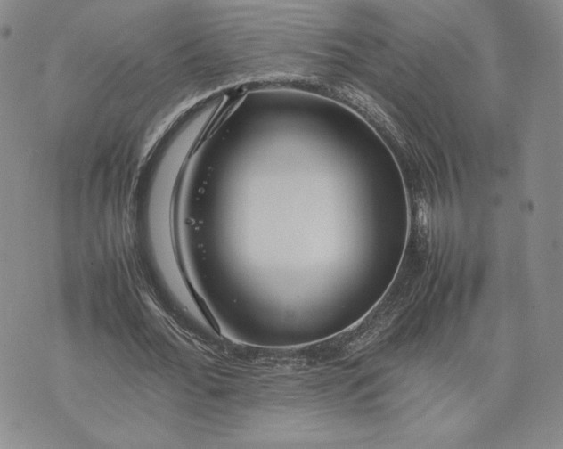 X0000075360676200609251102