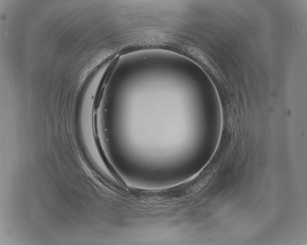 X0000075360677200609251102