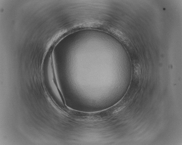 X0000075360678200609251102