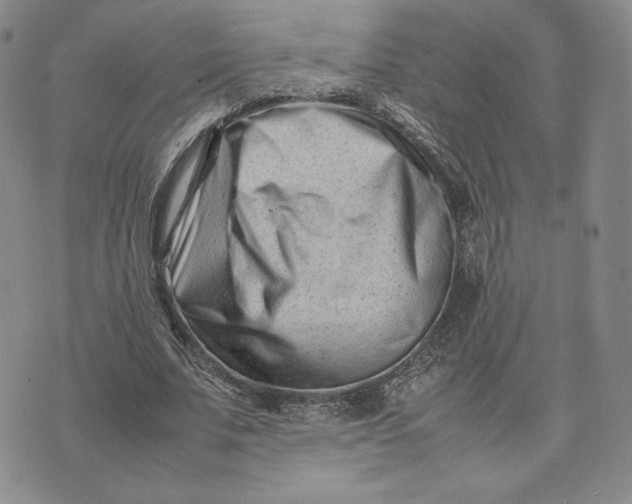 X0000075360679200609251102