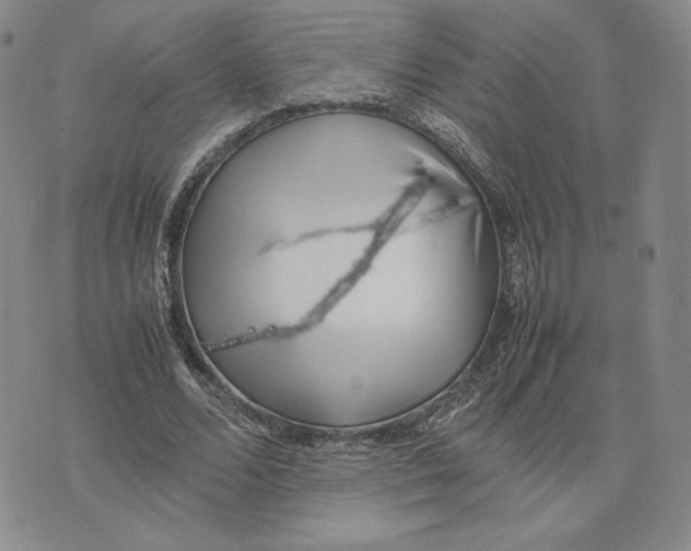 X0000075360680200609251102