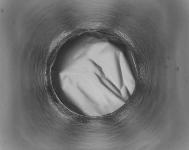 X0000075360682200609251102