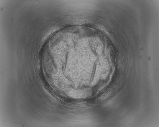 X0000075360683200609251102