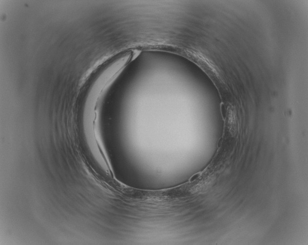 X0000075360684200609251102