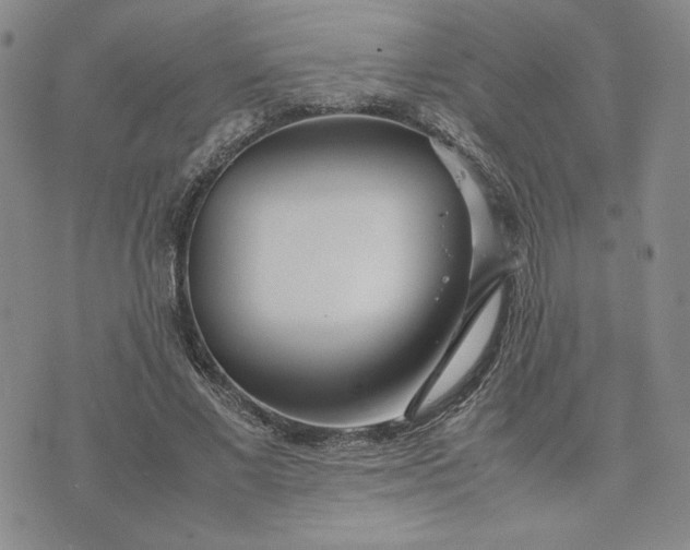 X0000075360685200609251102