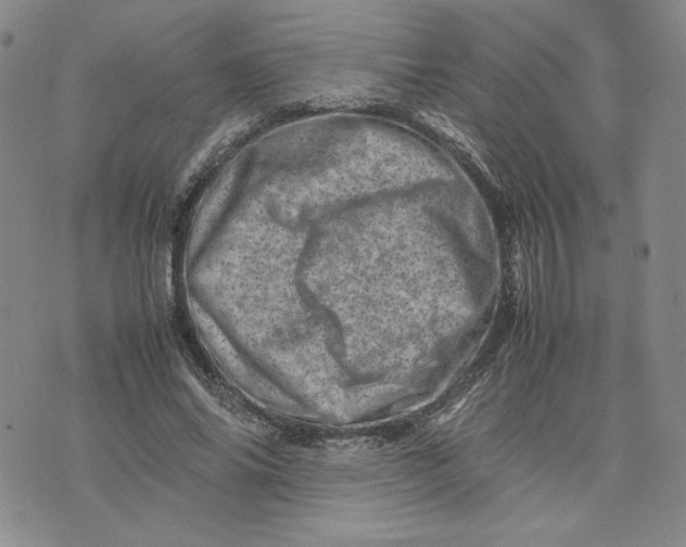 X0000075360686200609251102