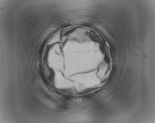 X0000075360687200609251102