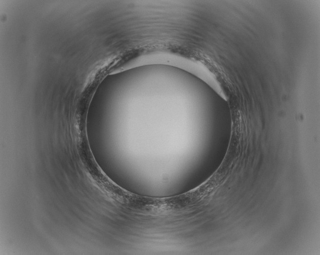 X0000075360688200609251102