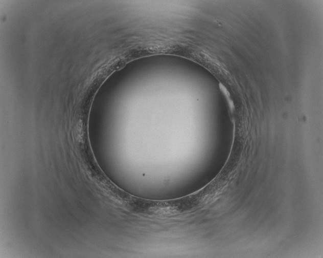 X0000075360689200609251102