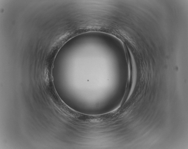 X0000075360692200609251102