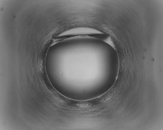 X0000075360693200609251102