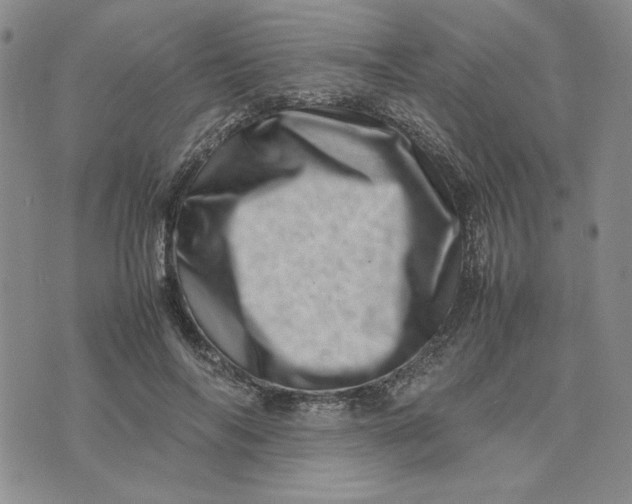 X0000075360694200609251102