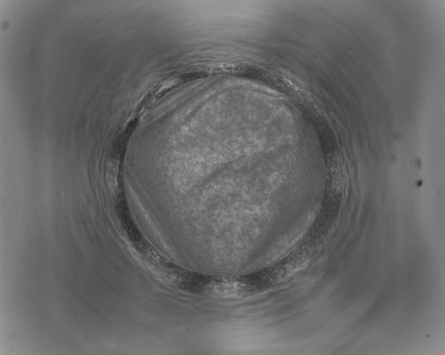 X0000075360695200609251102