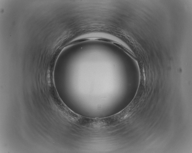 X0000075360696200609251102