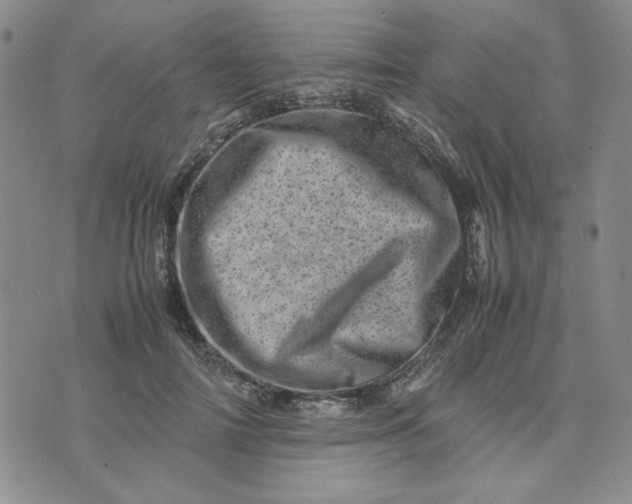 X0000075360698200609251102