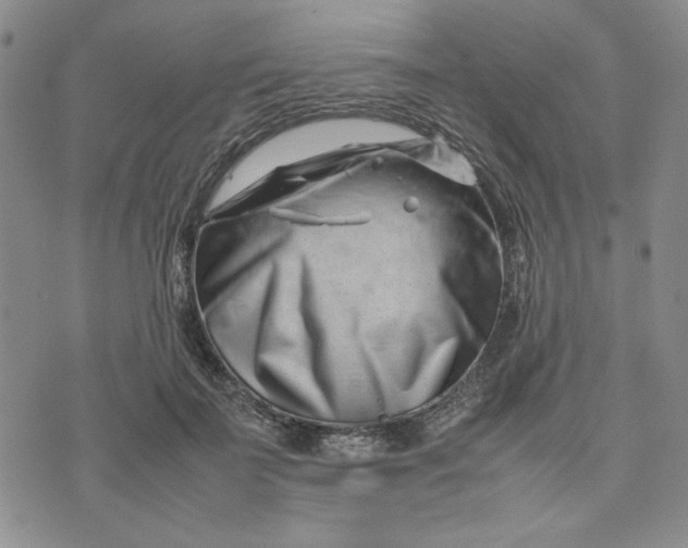 X0000075360699200609251102