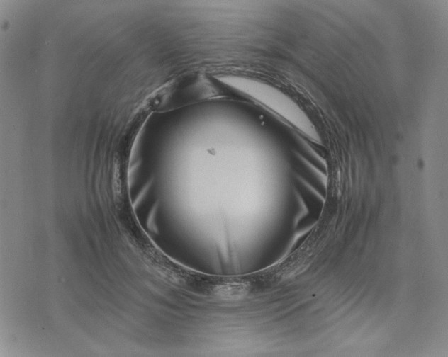 X0000075360700200609251102