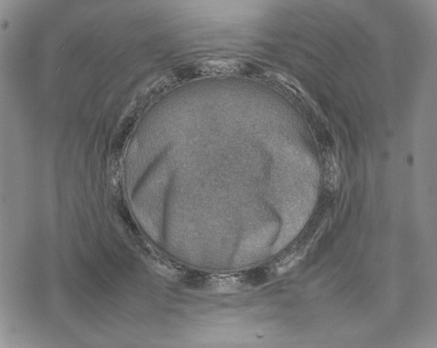 X0000075360701200609251102